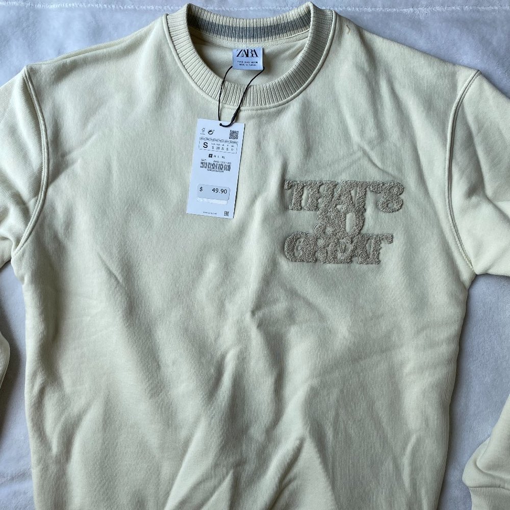 Zara Men's Sweater
